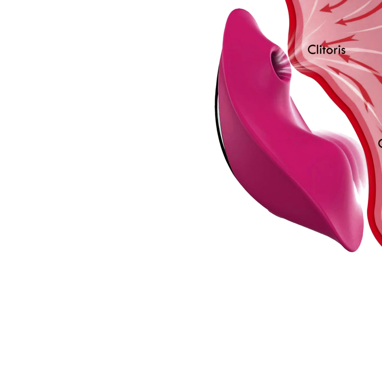 Vibrador e sugador de calcinha App Control Casal