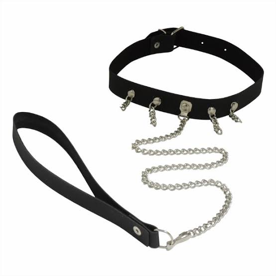 Coleira com Guia Couro