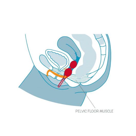 Bolas Smart Ball Duo