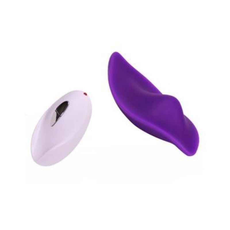 Vibrador de calcinha Recarregável com Controle